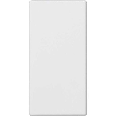 Placa K45 medio mecanismo ciega blanco nieve SIMON K105/9