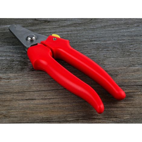 Pince coupante RS PRO Pinces coupantes droites 165 mm ( Prix pour 1 ) (1/4)