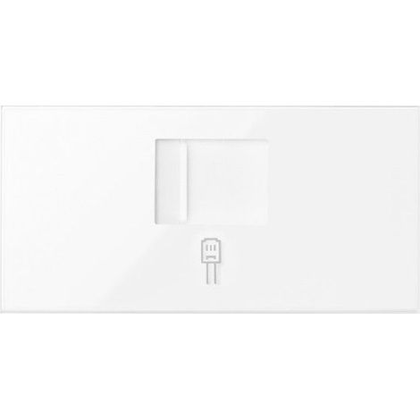 SIMON 100 - Flache v & d Abdeckung CG für 1 RJ45 10000005-130