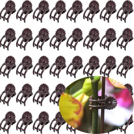 Bardusch-Lot de 50 clips de support pour orchidées - Brun, pour petites et moyennes plantes grimpantes, plantes à tige unique et plantes grimpantes. (1/5)