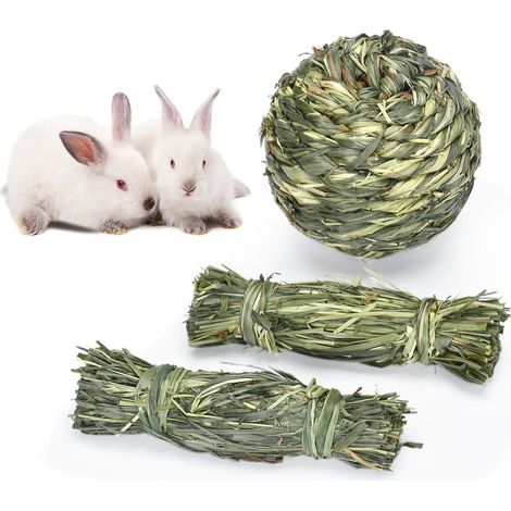 Lot de 3 jouets à mâcher pour lapins et petits animaux - Résistants aux morsures (1/5)