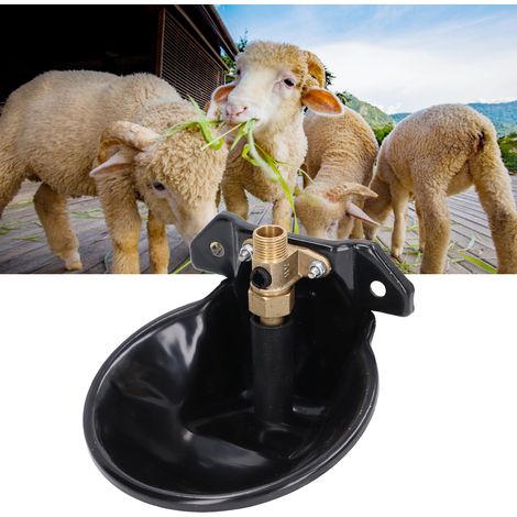 Abreuvoir automatique pour moutons avec plaque en acier, vanne en cuivre, bol d'eau épais, équipement d'abreuvement automatique pour moutons (1/5)