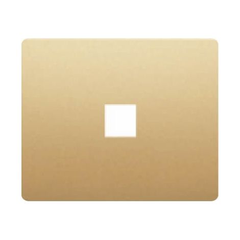 Abdeckbuchse TELF oder RJ45 DORADO ODISEA BJC IRIS 18882-OD