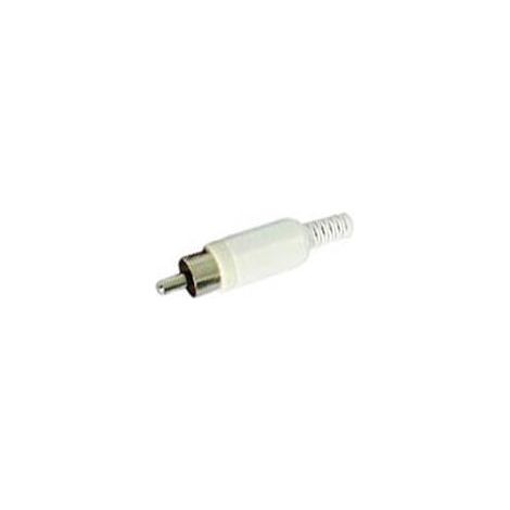 FICHE RCA MALE - BLANC CA047W RI777