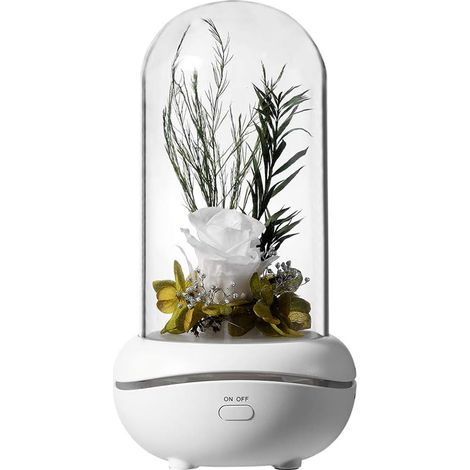Lampe Rose - Lampe Décorative LED Rechargeable USB - En Verre et Soie Polyester - Lumière Chaude pour Maison Bureau Chambre - Rouge - 1 Pièce (1/5)