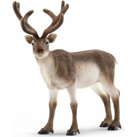 Schleich - Wild Life - Reindeer (14837)