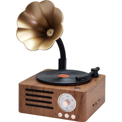 Mini radio FM portable rétro, enceinte Bluetooth, lecteur MP3, tourne-disque rétro avec microphone, compatible carte TF/AUX (1/5)