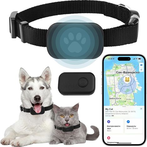 GPS-Tracker für Katzen und Hunde mit Halsband, kein Abonnement erforderlich, kompatibel mit iOS und Android, verstellbares Halsband, wasserdicht, Anti-Verlust-Funktion für Haustiere (1/5)