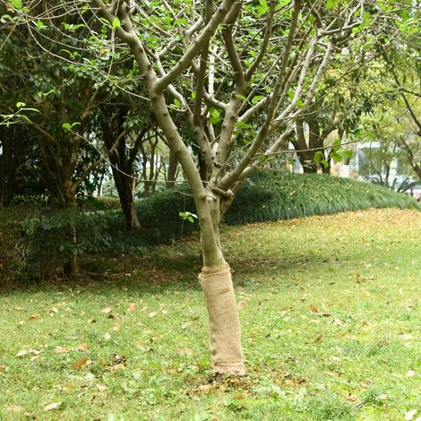 Rouleau de jute 0,5 x 15 m 100 % jute 200 g/m²