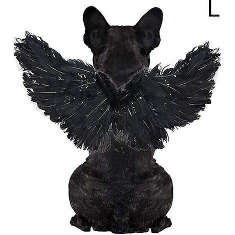 Halloween pour animaux de compagnie : costume d'Halloween pour animaux de compagnie, cosplay ange diable (1/5)