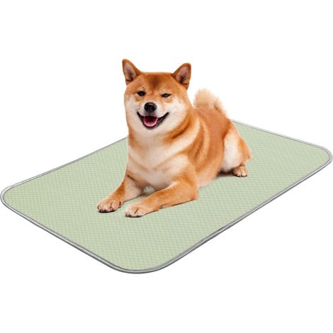 Tapis rafraîchissant - Matelas rafraîchissant - Tapis rafraîchissant pour chien - Plaque rafraîchissante lavable - La plaque auto-rafraîchissante Issilke convient aux petits chiens et aux chats (1/4)