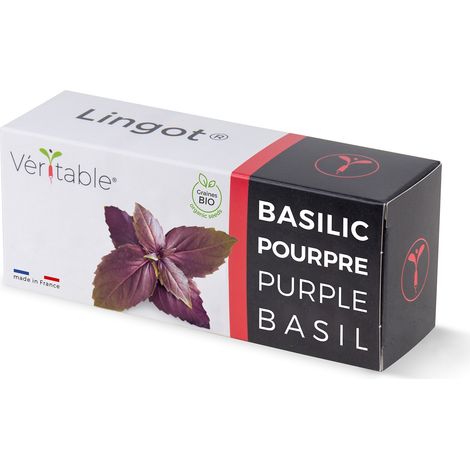 Graines en recharge prête à l'emploi - Lingot Basilic Pourpre Bio - Véritable (1/5)