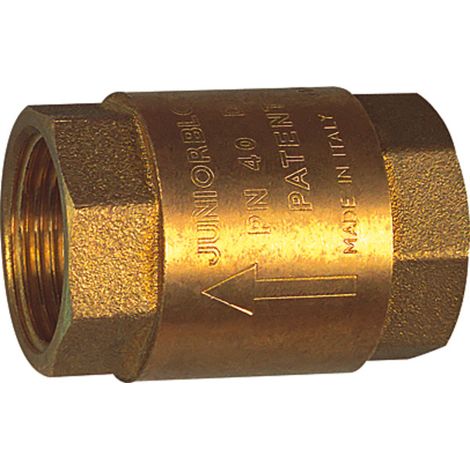 Riegler Rückschlagventil, reduzierter Durchgang, G 1 1/2, 20 mbar (1/2)