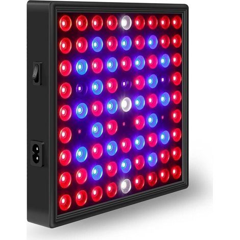 Lampe Horticole LED Croissance Floraison - Cultivez des Plantes Saines à L'intérieur - Panneau LED Horticole - Lampe UV Plante Interieur pour Semis - Lampe de Culture LED Grow Light Indoor 30W (1/5)
