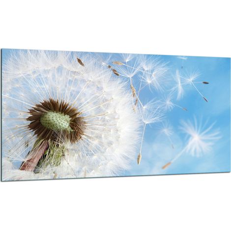 PLAQUE DE PROTECTION EN VERRE POUR CUISINIÈRE 90x52 FLORE (1/5)