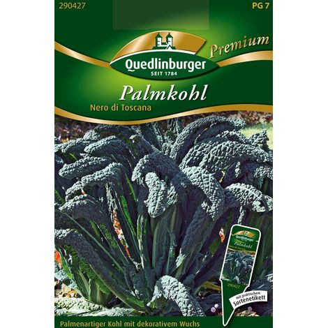 Quedlinburger Saatgut – Chou palmier Nero di Toscana – Graines de légumes, chou ornemental à feuilles bleu-vert, hauteur env. 60 cm (1/2)