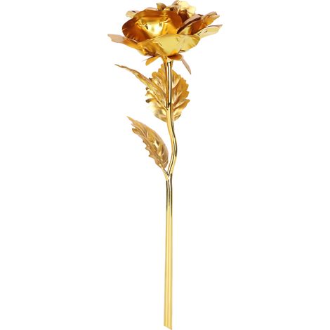 Cadeau de Saint-Valentin pour petite amie, épouse, meilleure amie, cadeau d'anniversaire pour fille, rose romantique et pratique en feuille d'or, emballage de luxe plaqué or (1/5)