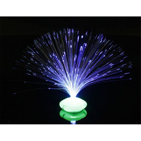 Veilleuse Étoile - Lampe Fibre Optique LED - Décoration Nocturne Salon Chambre - 28 cm - Alimentation 3 Piles AA (1/5)