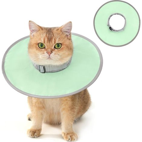 Collerette pour Chat Anti-Léchage, Collerette de Confort pour Chaton Anti-Grattage Tête, Ajustable et Pliable, Collier Élisabéthain Souple de Récupération pour Chat et Petit Chien -Vert(S) (1/5)