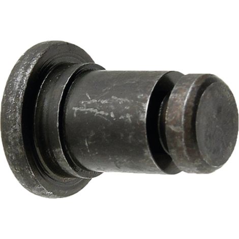 Perno di montaggio Lely Splendimo 320 MC 4124903880