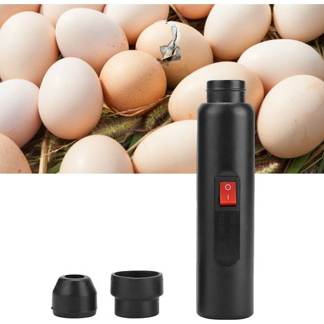 Lampe à mirer les œufs, mire-œufs à lumière froide LED pour le contrôle du développement des œufs à couver, avec boîtier à piles 100-240 V (norme américaine). (1/5)