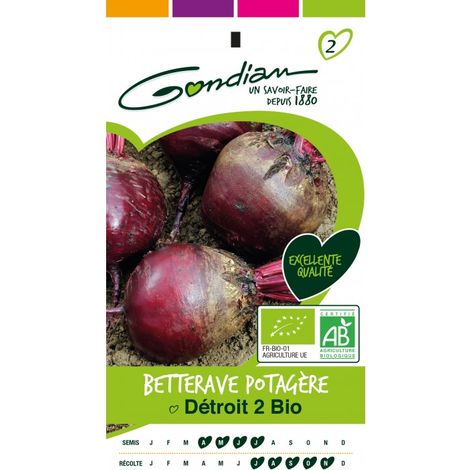 Gondian - betterave potagere bio