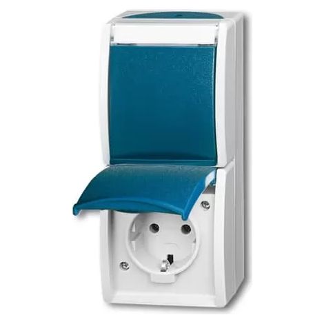 Busch-Jaeger 20-02 EWN-53 SCHUKO® Steckdose 2-fach (1/2)