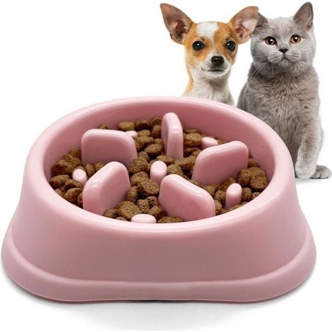 Gamelle anti - glouton pour chat et petit chien