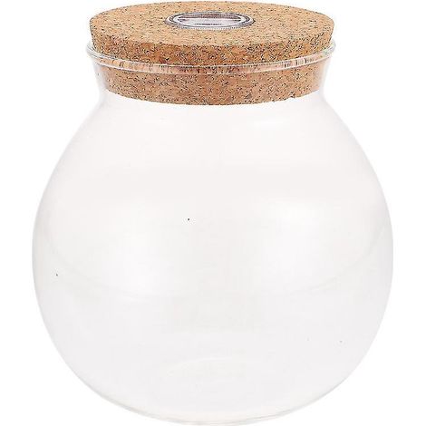 bouteille de micro-paysage (1/3)