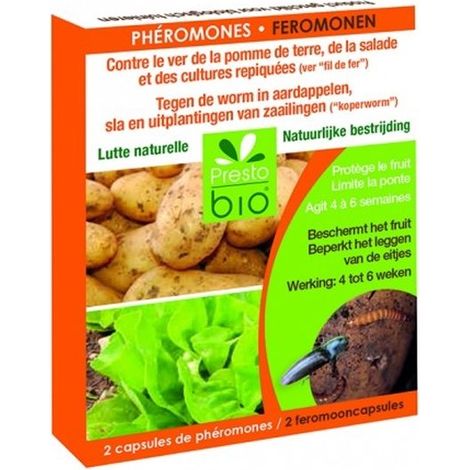 FEROMONI CONTRO IL VERME DELLA PATATA