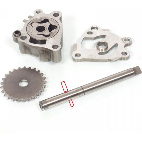 [PRODUIT D'OCCASION] Pompe à huile origine pour moto Triumph 955 Speed Triple I 2000 à (1/2)