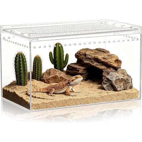 Terrarium Acrylique: Transparence Durable Terrarium Escargots, Pratique pour Observation Terrarium Reptiles,Vivarium Transparent,für Habitats Animaux 20 15 10cm (1/5)