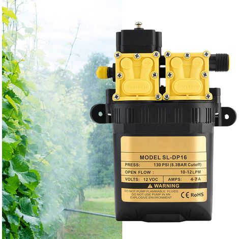 Pompe à eau électrique agricole haute pression 12 V pour pulvérisateur (1/5)
