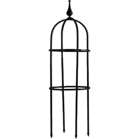 Cage de Support pour plantes grimpantes, tour de fleurs en pot, Fruits, légumes, vignes, noir (1/5)