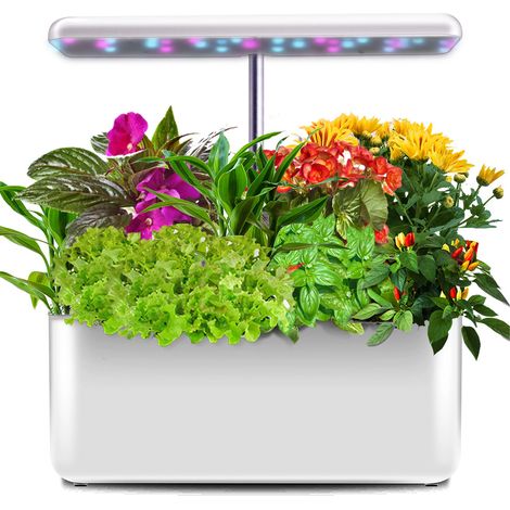 MINKUROW Giardino Di Erbe Idroponico, Kit Giardino Di Erbe Da Interno Con Luci Led Grow, Fioriera Intelligente Con Timer Automatico, Orto Idroponico Regolabile In Altezza (1/4)