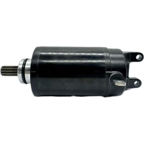 Elektrische Kompatibilität des Anlassers T1311112 für Triumph-Gleichstrommotoren (1/4)