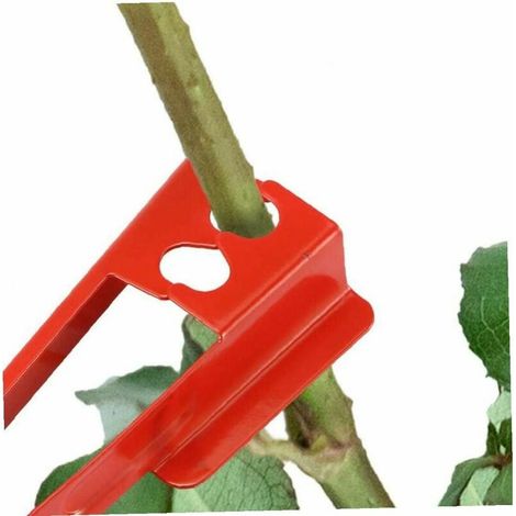 1 Rosendornenpinzette, Gartengerät, Werkzeug zum Entfernen von Kletten (1/4)