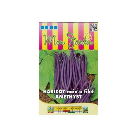 Haricot nain à filet Amethyst - 70g