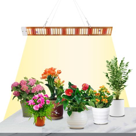 ROSNEK Lampe horticole LED barre 40W 156 LED plein spectre UV IR, 3500 lm, 56,7 cm, pour plantes d’intérieur et serre