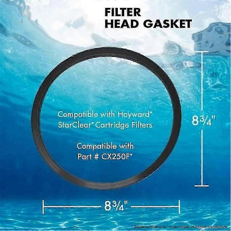 Joint de tête de filtre Hayward Cx250F compatible avec les filtres à cartouche Hayward - SNNGV hwyNO.851
