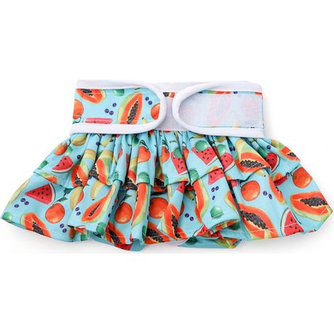 Culotte Physiologique Chien - En Nylon Réutilisable Lavable - Pour Chiennes de Taille Petite à Moyenne - 1 Pièce (1/5)