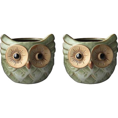 Lot de 2 pots de fleurs hibou de dessin animé (1/3)