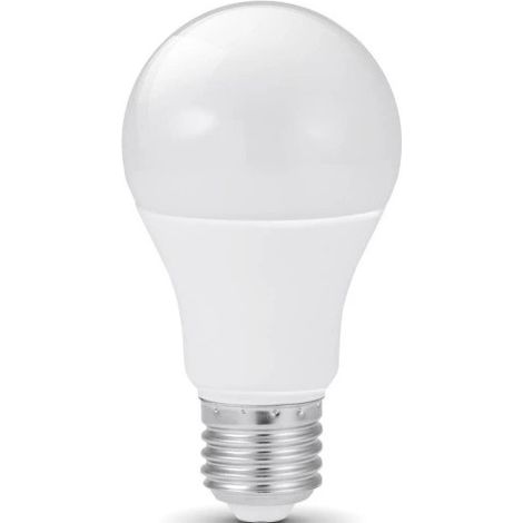 Ampoule LED A70 E27 20W 3000K Éco (1/4)