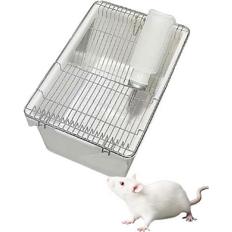 Cages pour rongeurs de type bouteille, adaptées aux laboratoires biomédicaux et à la recherche universitaire. (1/5)