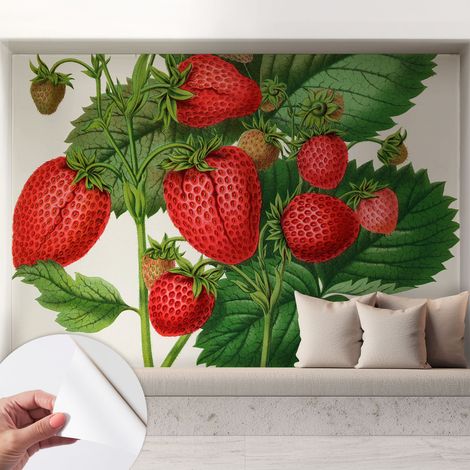 Papier peint adhésif décoratif avec colle pour salon chambre et bureau Installation rapide Fruits d'été 208x146 cm (1/5)