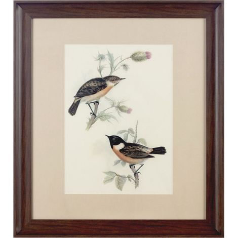 Premier Housewares Framed Birds 2 Wall Art (1/3)