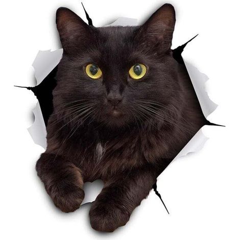 Pegatinas de pared 3D de gatos - Paquete de 2 - Divertidas pegatinas decorativas - Pegatinas de gatitos siameses para pared, nevera, baño, dormitorio, 11 x 12 cm (1/4)