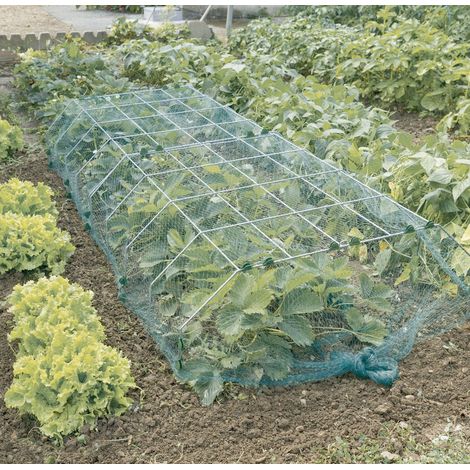 Nortene – Structure métallique tunnel Nursy Metal XL – Dimensions 90x100cm – Protection optimale pour cultures – Installation facile (1/3)