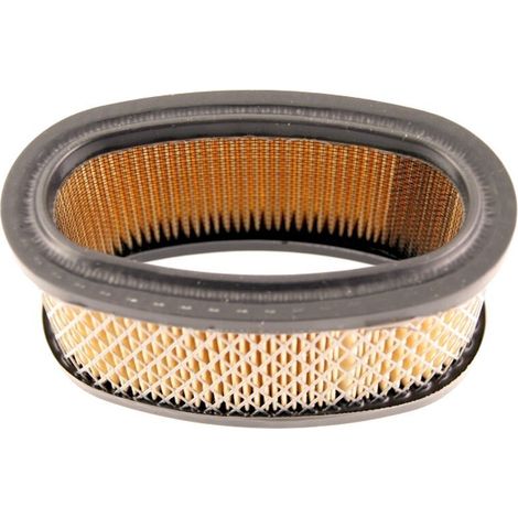 Filtro Air BRIGGS et STRATTON 393725