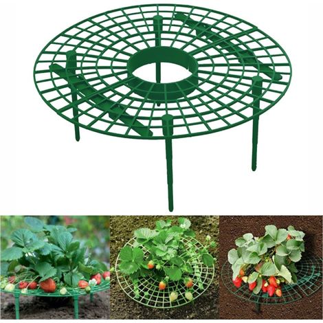 Ensemble de 6 supports à fraises en plastique, supports à légumes en plastique, supports de plantation de fruits étanches, cage à paille (1/5)